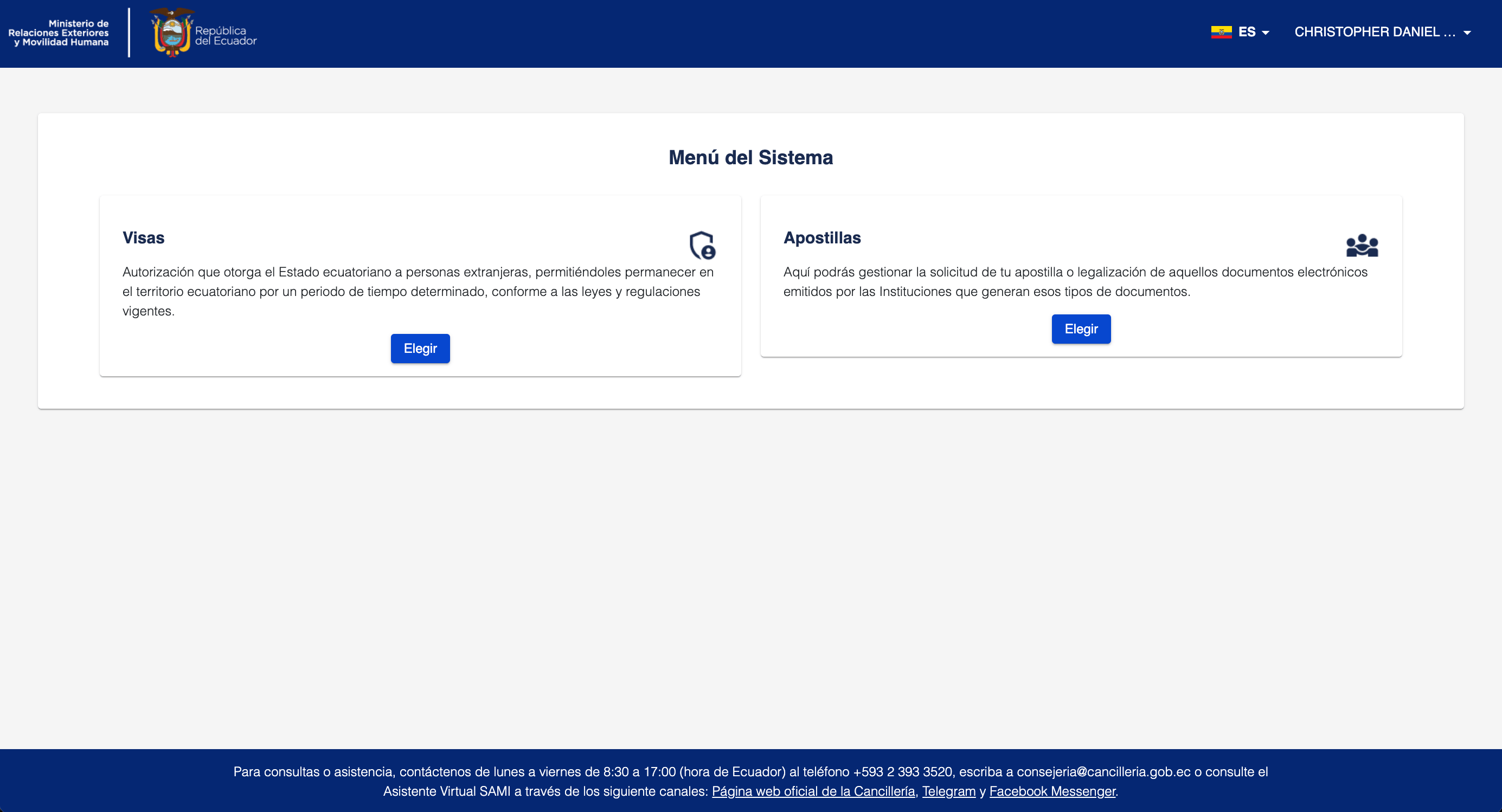 eVISA system menu