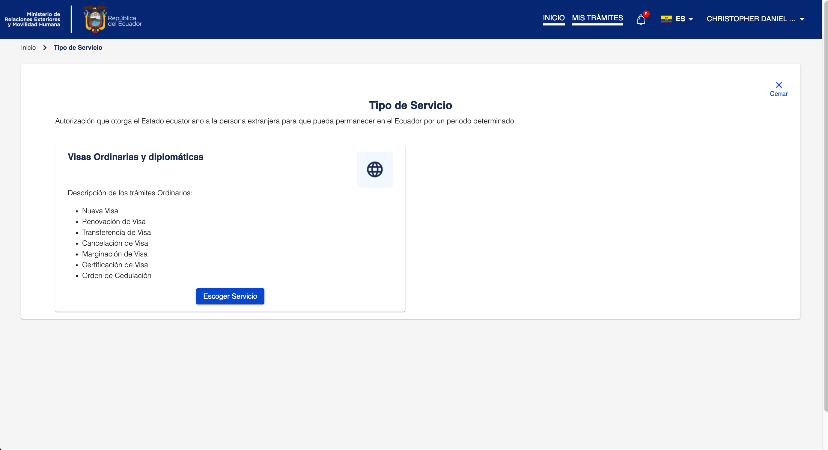 Visa services